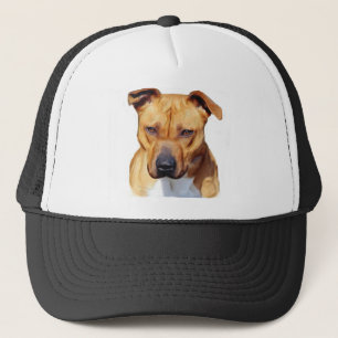 Casquette de Pitbull