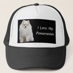 Casquette de Pomeranian