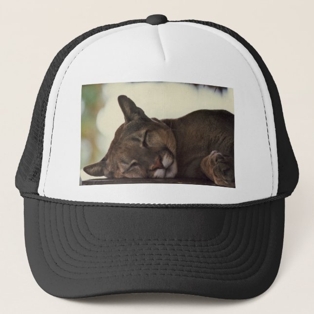 Casquette de puma de sommeil (Devant)