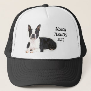 Casquette de règle de terriers de Boston