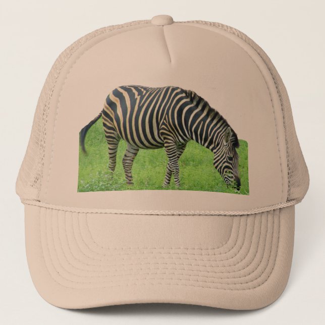 Casquette de safari de zèbre (Devant)