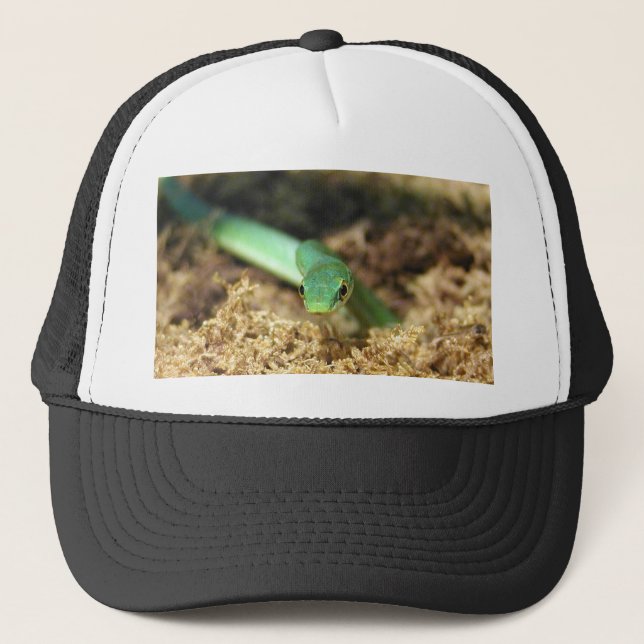 Casquette de serpent vert (Devant)