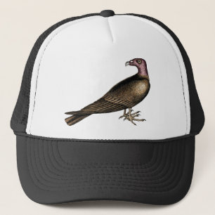 Casquette de vautour de Turquie