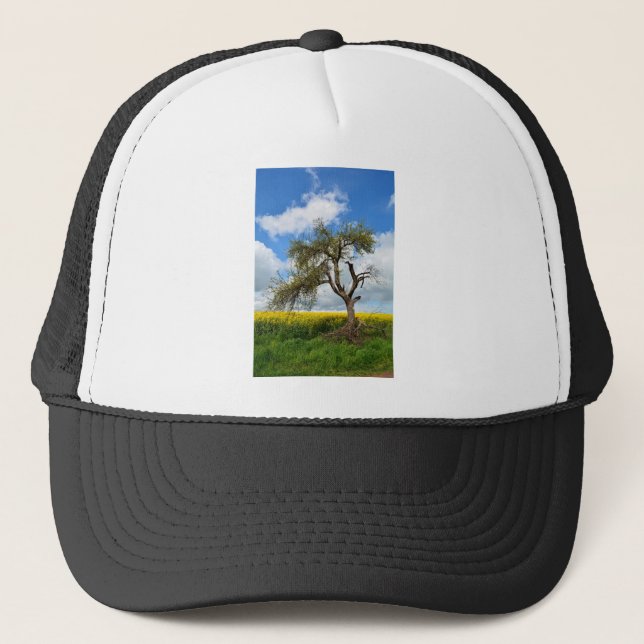 Casquette Der alte Baum (Devant)