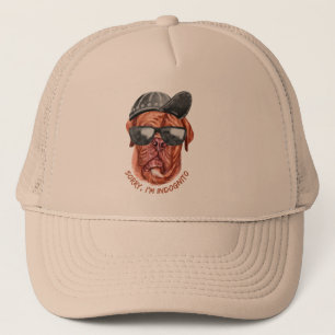 Casquette DÉSOLÉ Je suis INDOGNITO (Mastiff français) drôle 