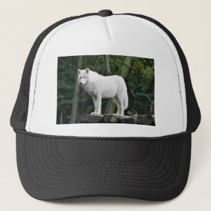 Casquette Destin animal d'amour de paix de nature de loup