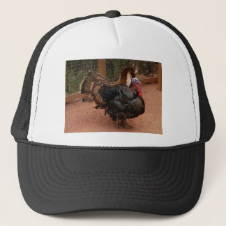 Casquette dinde, thanksgiving