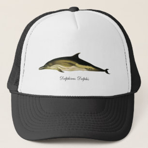 Casquette Dolphin Delphinus Delphis, Mammifères marins Vinta