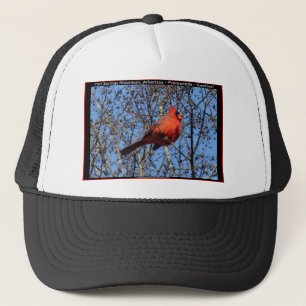 Casquette Dons cardinaux de la Promenade des sources chaudes
