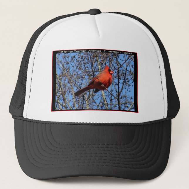Casquette Dons cardinaux de la Promenade des sources chaudes (Devant)