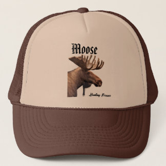 Casquette d'orignal