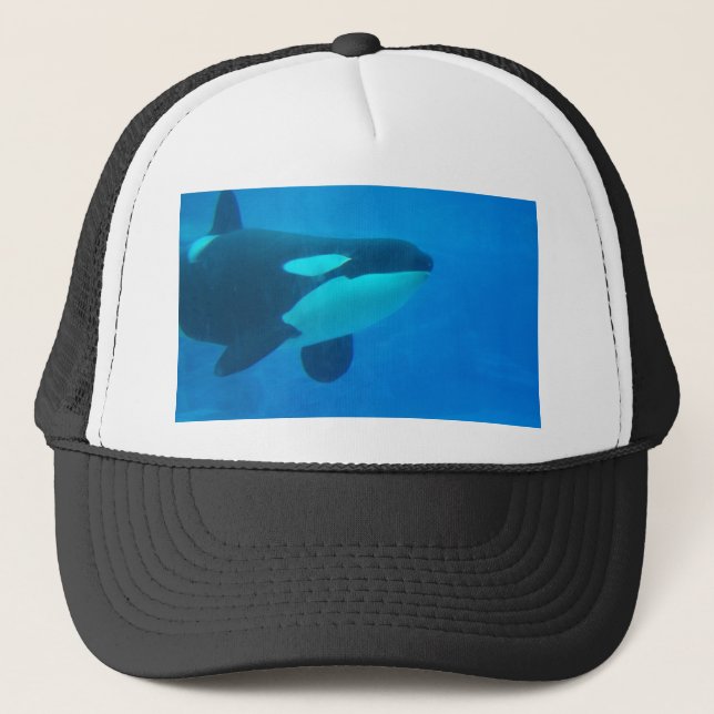 Casquette d'orque d'épaulard bleu sous l'eau (Devant)