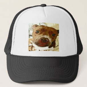 Casquette Douce Pibble Face