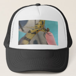 Casquette Dragon Fly