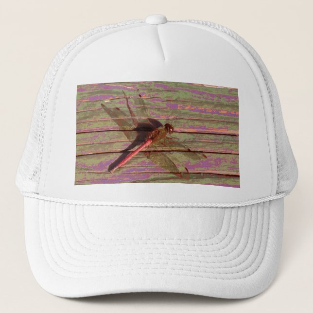 Casquette Dragonfly (Devant)