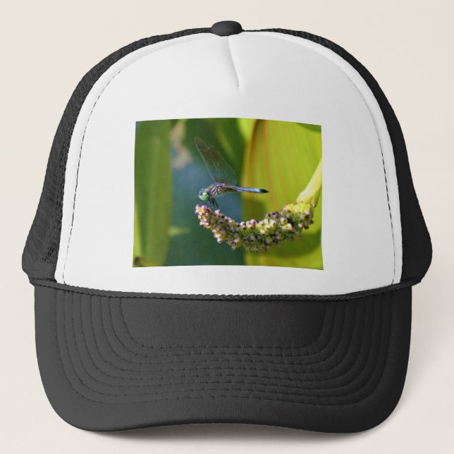 Casquette Dragonfly aux yeux turquoises (Devant)