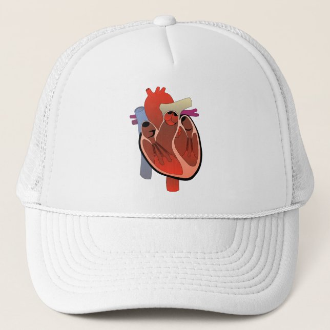 CASQUETTE DRAWING MEDICAL DE L'ANATOMIE HEART (Devant)