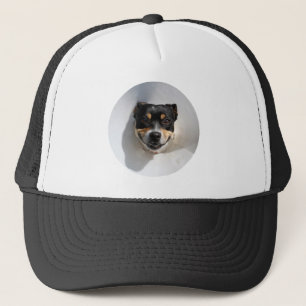 Casquette Drôle chien souriant