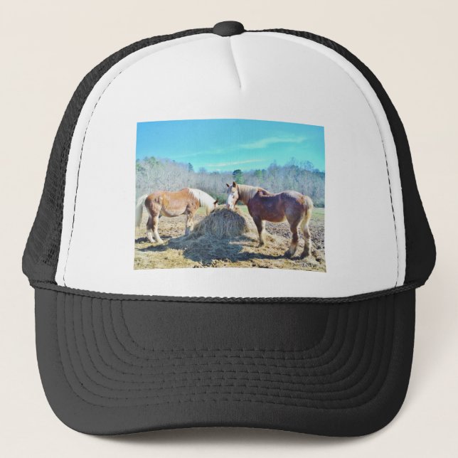 Casquette Ébauche secourue Chevaux mangeant foin (Devant)