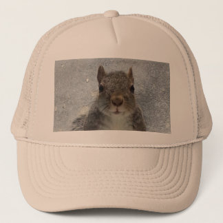 Casquette Écureuil