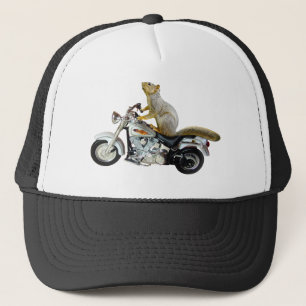 Casquette Écureuil sur la moto