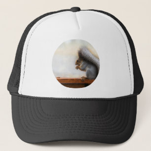 Casquette Écureuil sur un banc et quelques noix