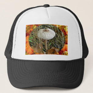 Casquette Éléments de coordination du champignon de parasol