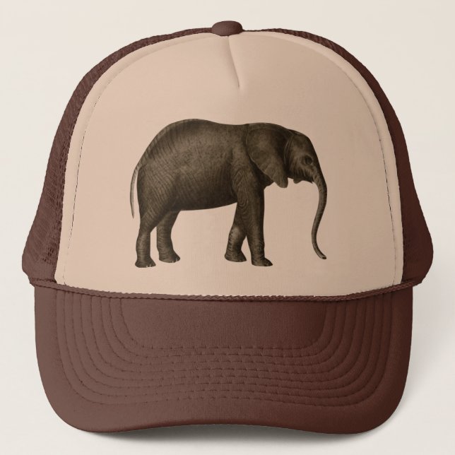 Casquette Éléphant (Devant)