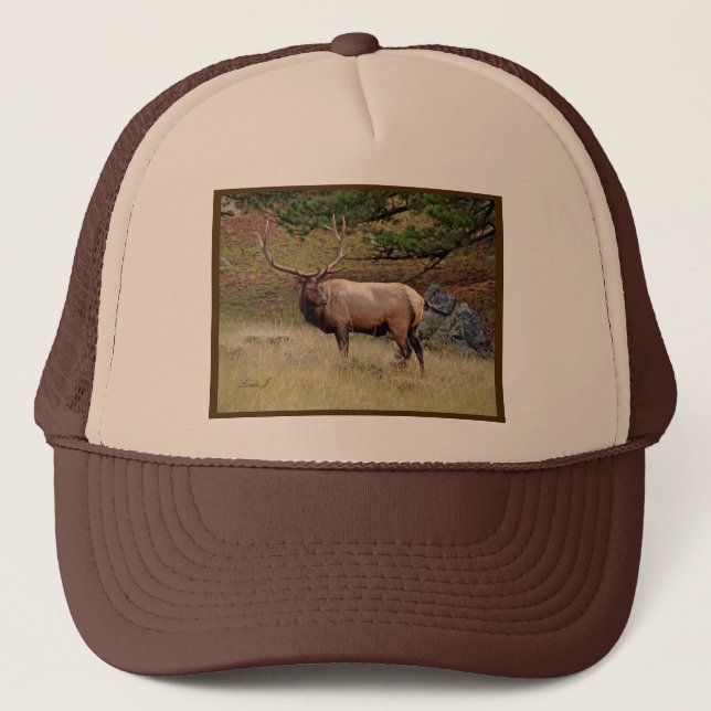 Casquette Elk dans le désert (Devant)