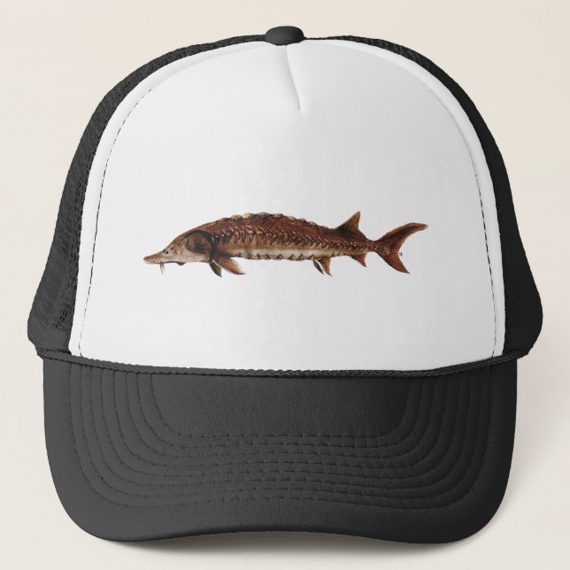 Casquette Esturgeon de Golfe - desotoi d'oxyrinchus (Devant)
