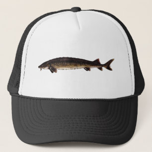 Casquette Esturgeon de lac - fulvescens d'Acipenser