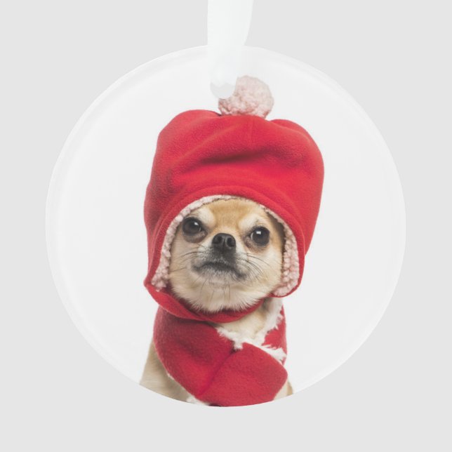 Casquette et écharpe de port de Noël de chiwawa (devant)