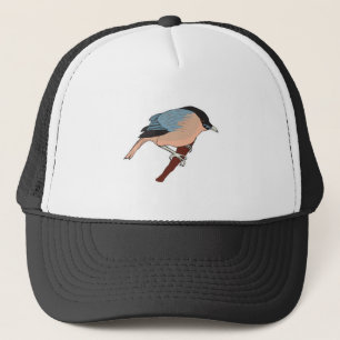 Casquette étourneau sansonnet