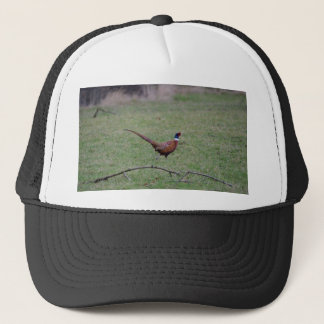 Casquette Faisan