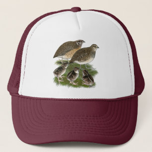 Casquette Famille des Cailles Coturnix