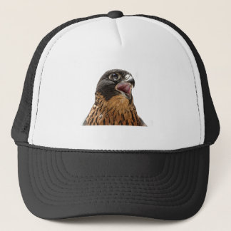 Casquette Faucon pérégrin personnalisé