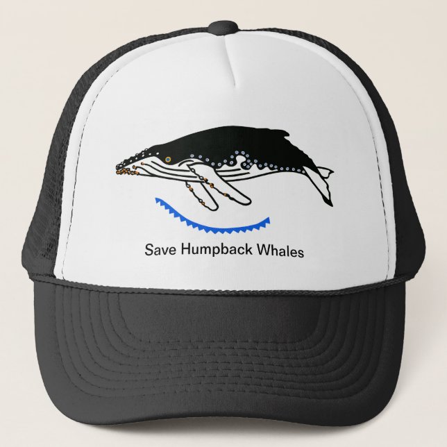 Casquette Faune - Sauvez les baleines à bosse - Nature (Devant)
