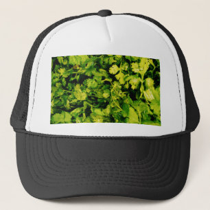 Casquette Feuille de coriandre/coriandre
