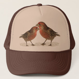Casquette Finches de la maison