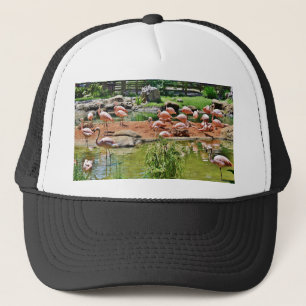 Casquette Flamant rose rose