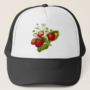 Casquette Food fruit leaf leafy leaves