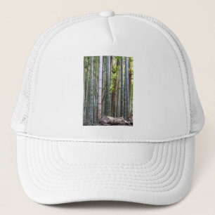 Casquette Forêt géante japonaise de bambou, Sagano, Kyoto, J