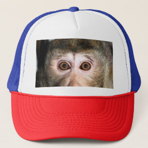 Casquette Forêt pluviale en voie de disparition