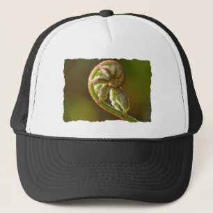 Casquette Fougère de Fiddlehead