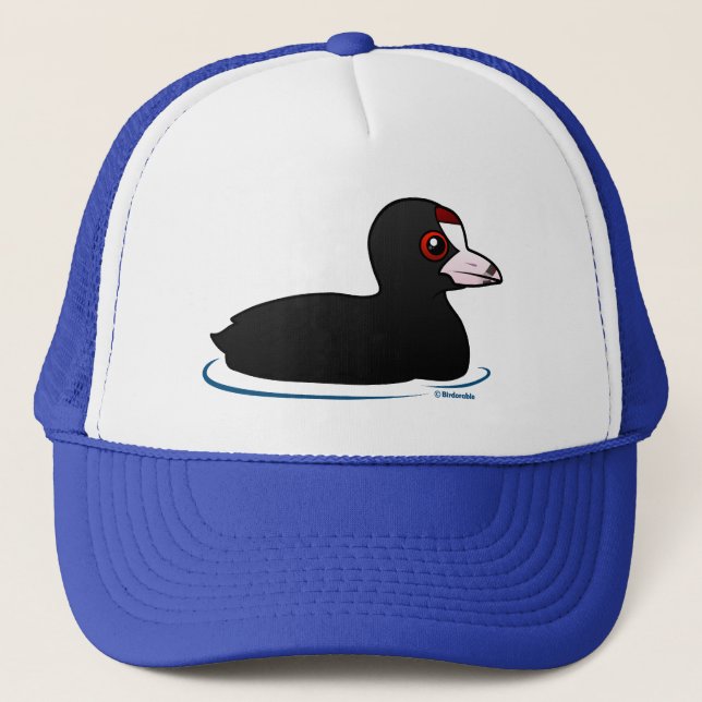 Casquette Foulque maroule américaine (Devant)
