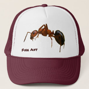 Casquette Fourmi de feu