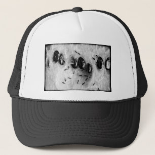 Casquette fourmis faisant du surf