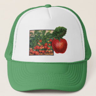 Casquette Fraises vintages, Plantes de fraises sur une ferme