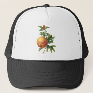 Casquette Fruit Alimentaire Ancien, Grenade par Redoute