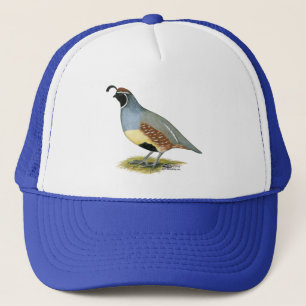 Casquette Gambel's Desert Quail